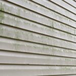 Mold