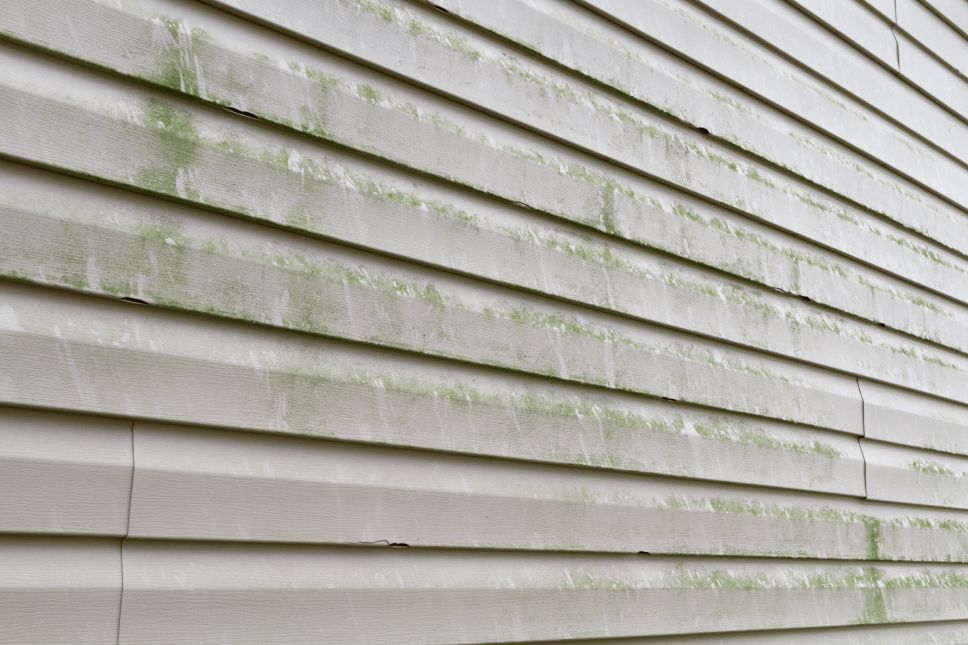 Mold
